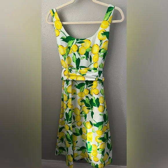 New 1901 Belted Lemons and Leaves Pleated Midi Dress Women’s Size 12