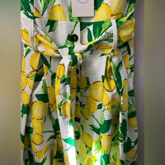 New 1901 Belted Lemons and Leaves Pleated Midi Dress Women’s Size 12