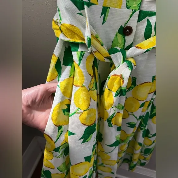 New 1901 Belted Lemons and Leaves Pleated Midi Dress Women’s Size 12