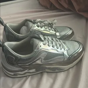 Silver Women's Sneakers